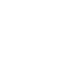 Motorisation et modernisation
