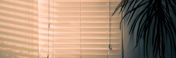 store interieur venitien