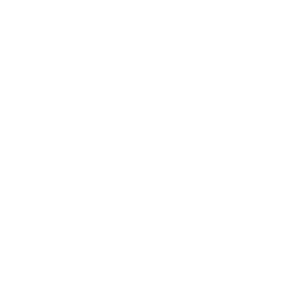 Etape 3 : Diagnostic et évaluation