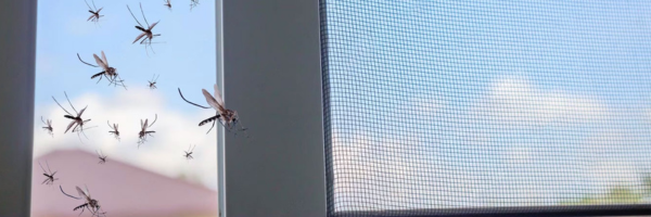 moustiquaire de porte fenetre